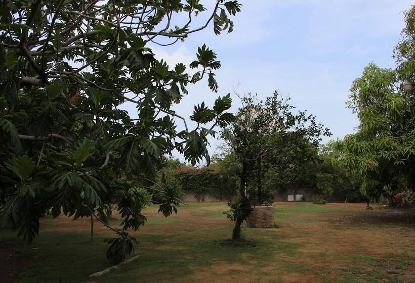 Hotbox Bud & Breakfast   Hostel