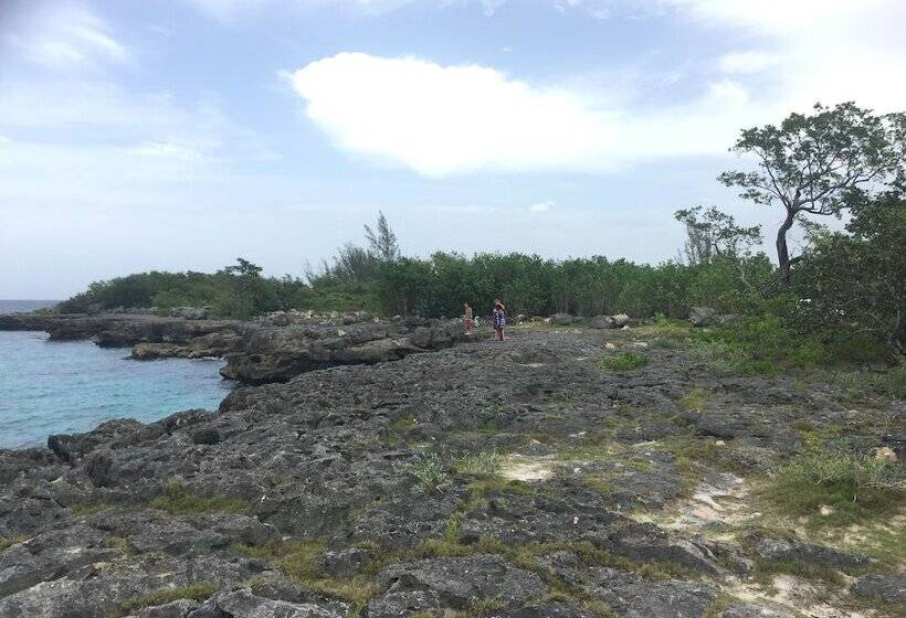 Hotbox Bud & Breakfast   Hostel