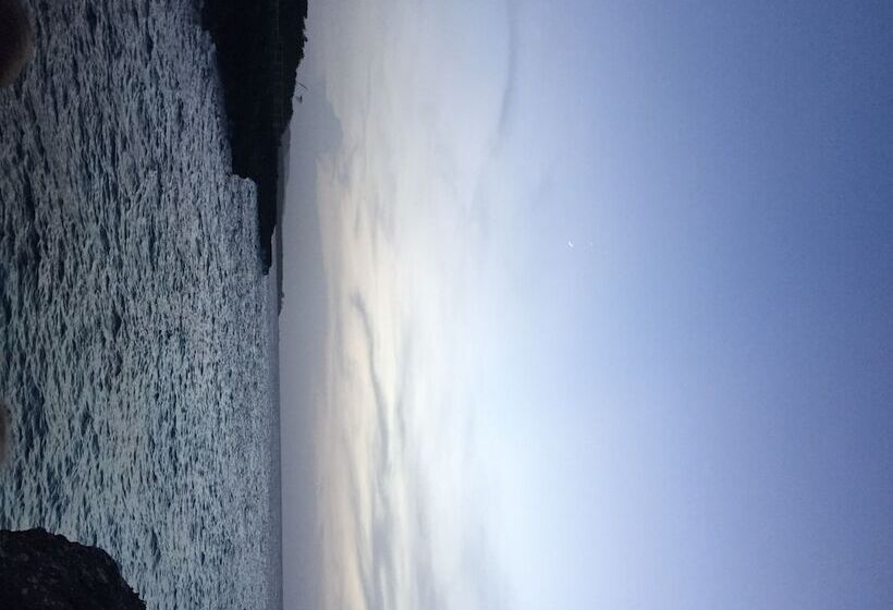 Hotbox Bud & Breakfast   Hostel