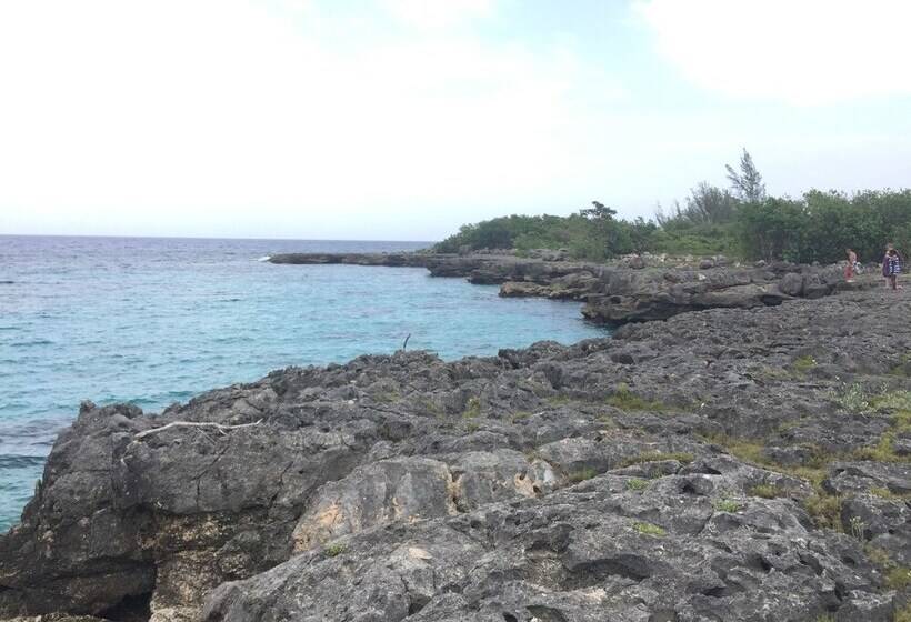 Hotbox Bud & Breakfast   Hostel