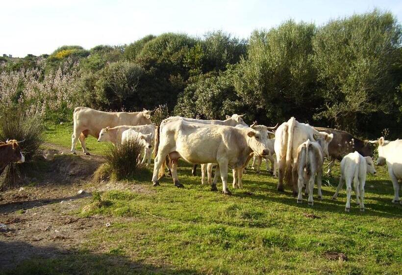 Отель Agriturismo Cuile De Molino