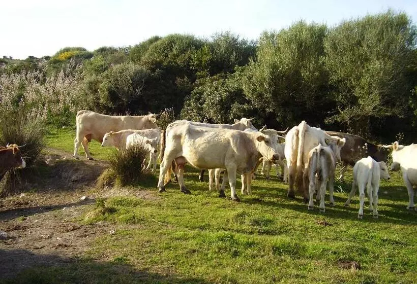 Hotelli Agriturismo Cuile De Molino