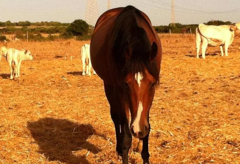 Hotelli Agriturismo Cuile De Molino