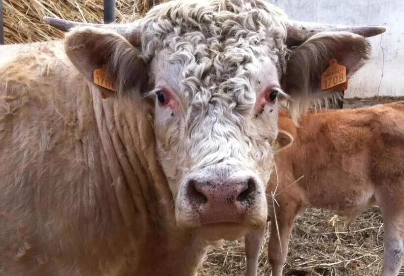 Hotelli Agriturismo Cuile De Molino