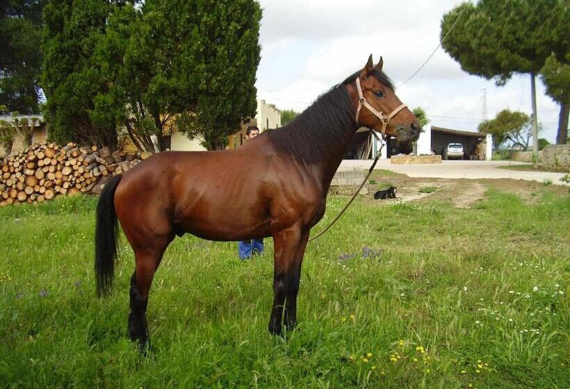 Отель Agriturismo Cuile De Molino