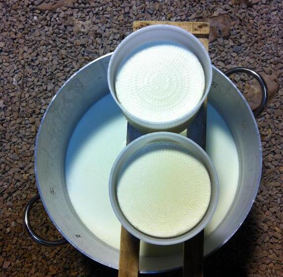 Отель Agriturismo Cuile De Molino