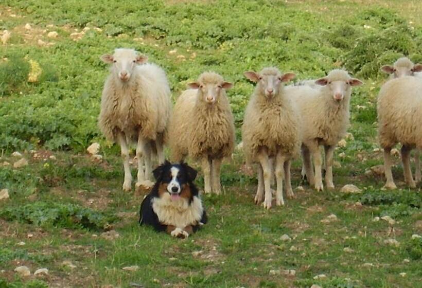 Отель Agriturismo Cuile De Molino