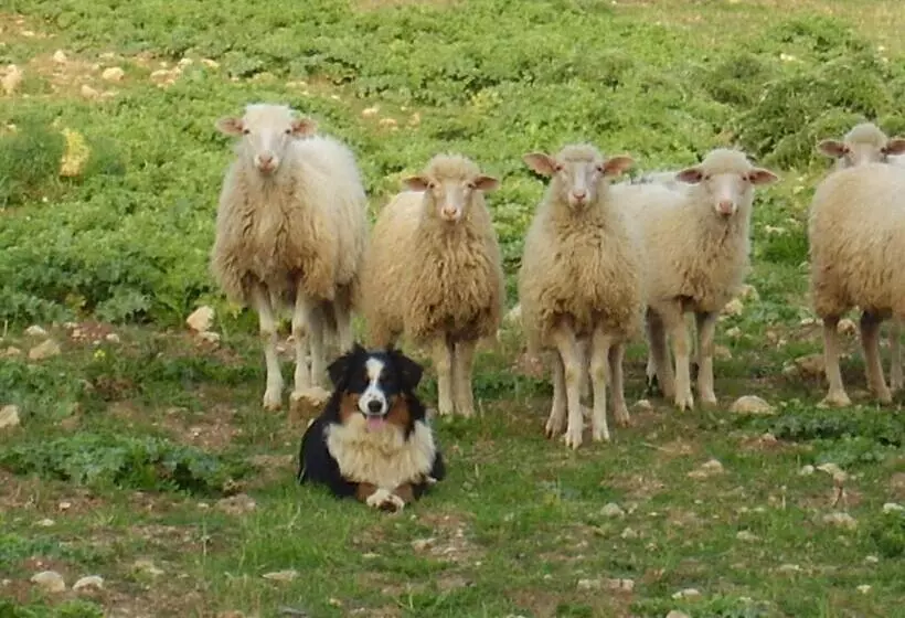 Hotelli Agriturismo Cuile De Molino