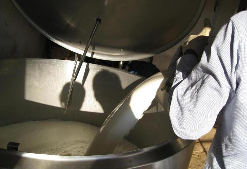 Отель Agriturismo Cuile De Molino