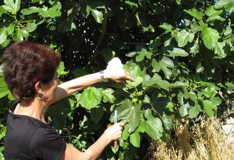 Hotelli Agriturismo Cuile De Molino