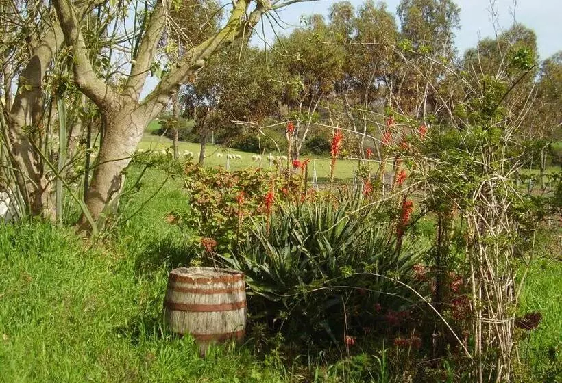 Hotelli Agriturismo Cuile De Molino