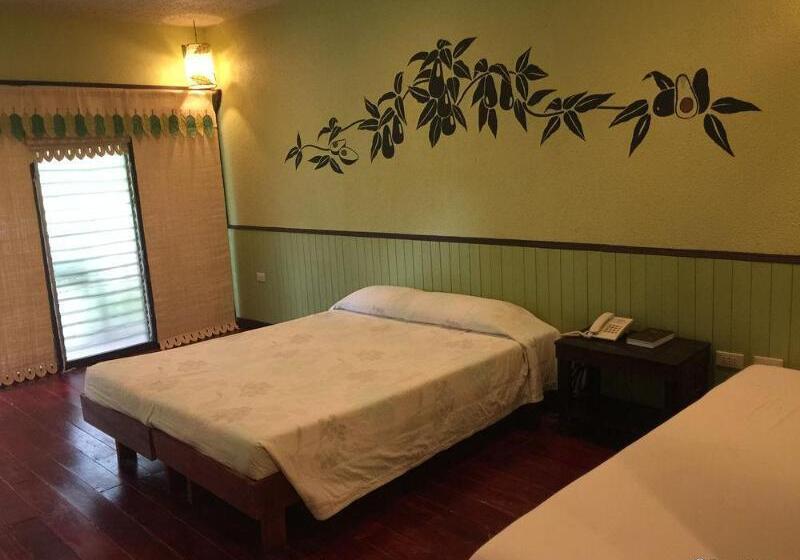 酒店 Bohol Bee Farm