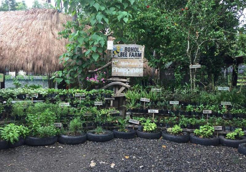 酒店 Bohol Bee Farm