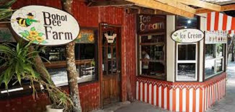 酒店 Bohol Bee Farm