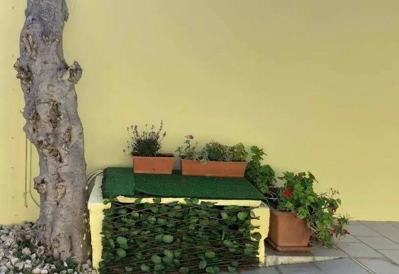 ホテル La Piccola Mole
