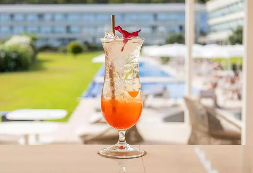 Hotel Seth 55 Santo Tomas