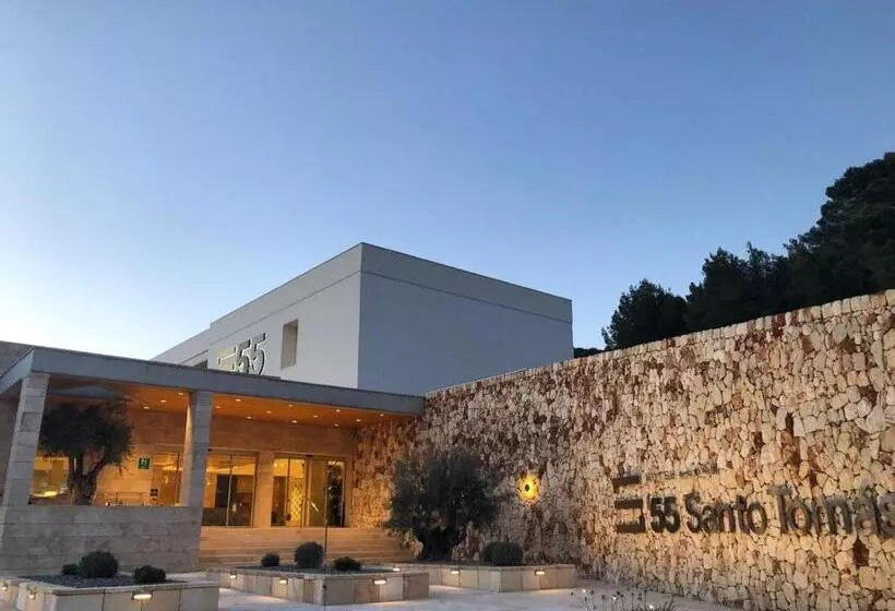 Hotel Seth 55 Santo Tomas