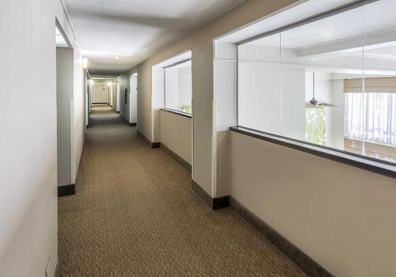 فندق Super 8 By Wyndham Rocky Mount I 95 Exit 145