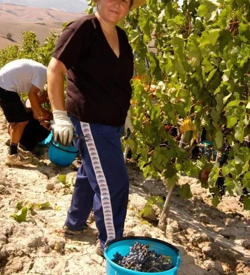 ホテル Agriturismo Il Selvino