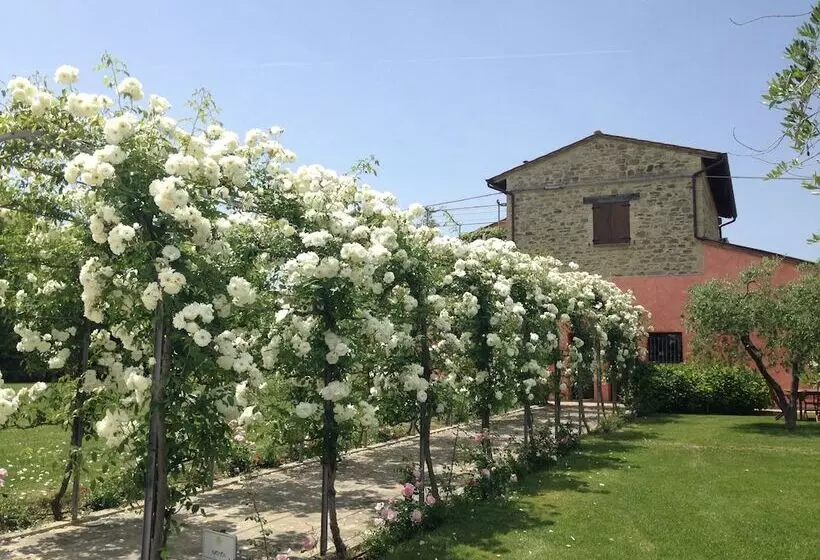 Hotelli Agriturismo Casale Le Selvette
