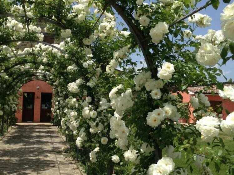 酒店 Agriturismo Casale Le Selvette