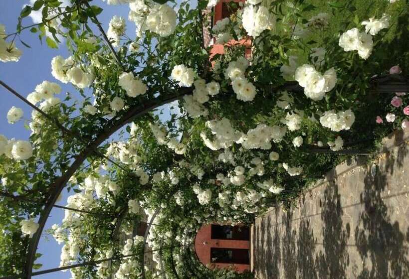 酒店 Agriturismo Casale Le Selvette