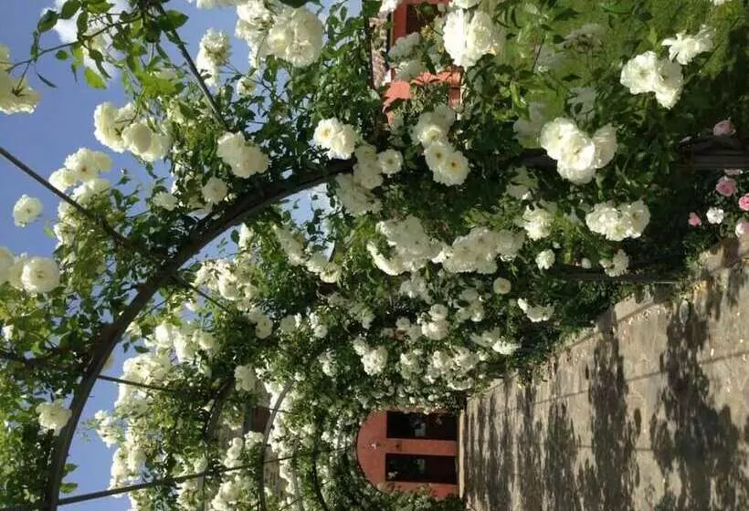 Hotelli Agriturismo Casale Le Selvette