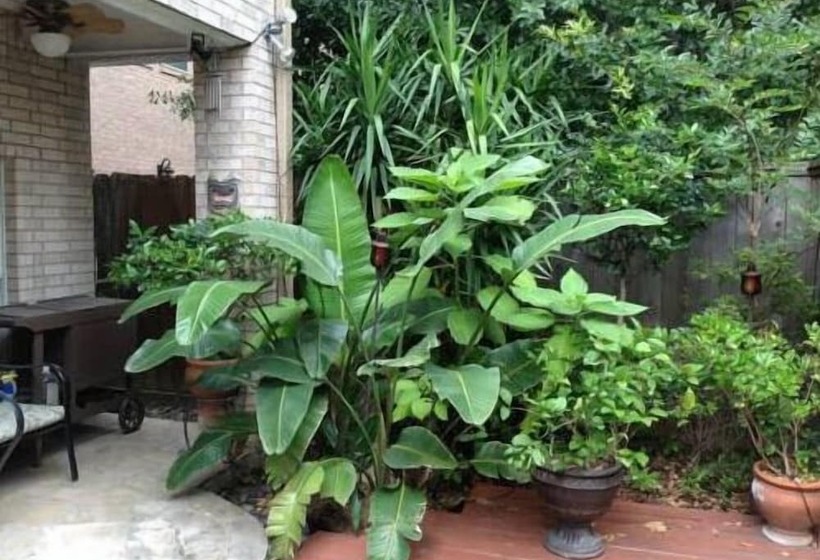 هتل Cityspaces Bnb