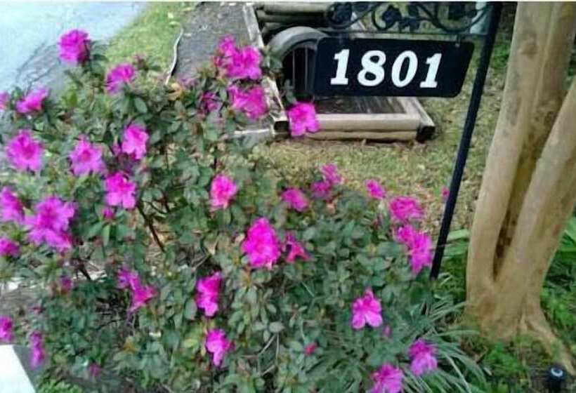 هتل Cityspaces Bnb