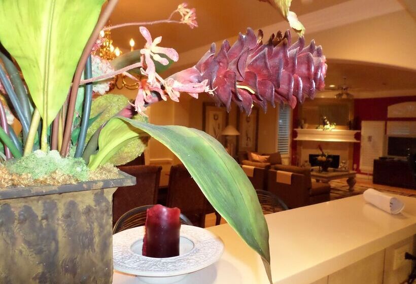 هتل Cityspaces Bnb