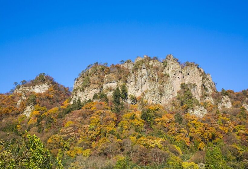 酒店 Conifer Iwabitsu