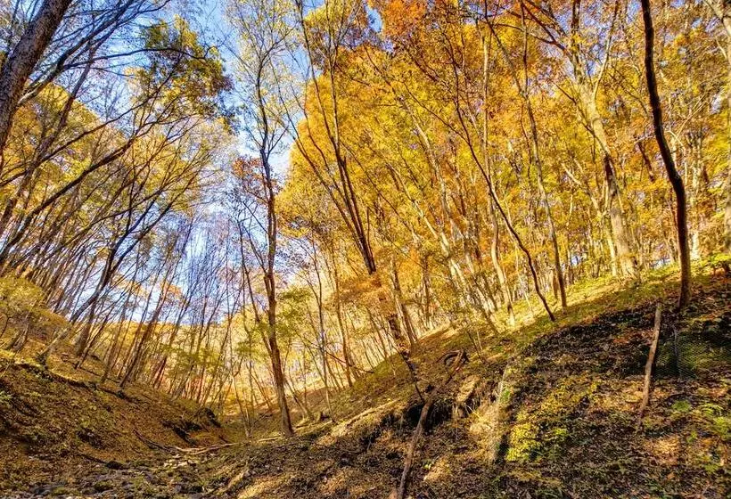 Hotelli Conifer Iwabitsu