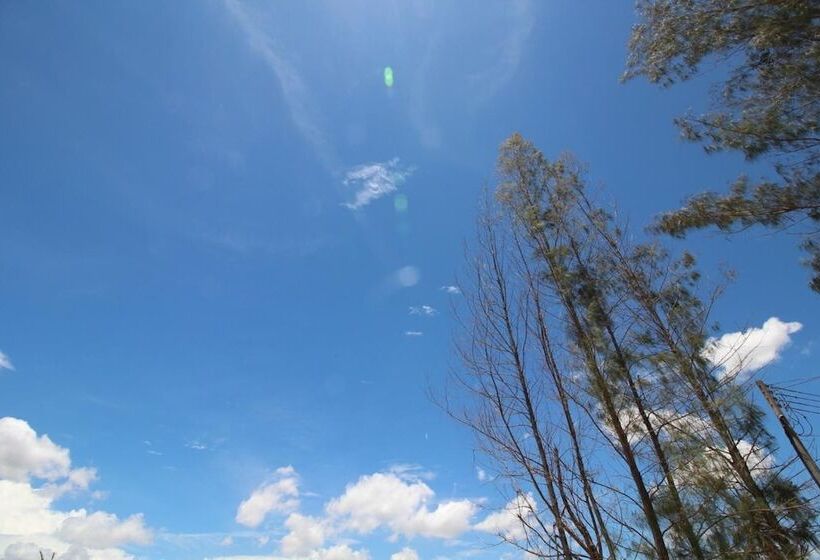 酒店 On Green Resort