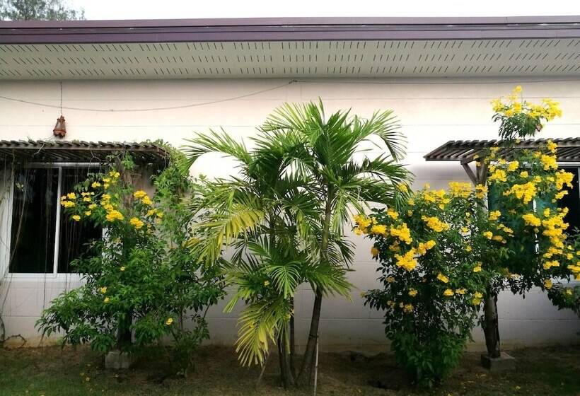 酒店 On Green Resort