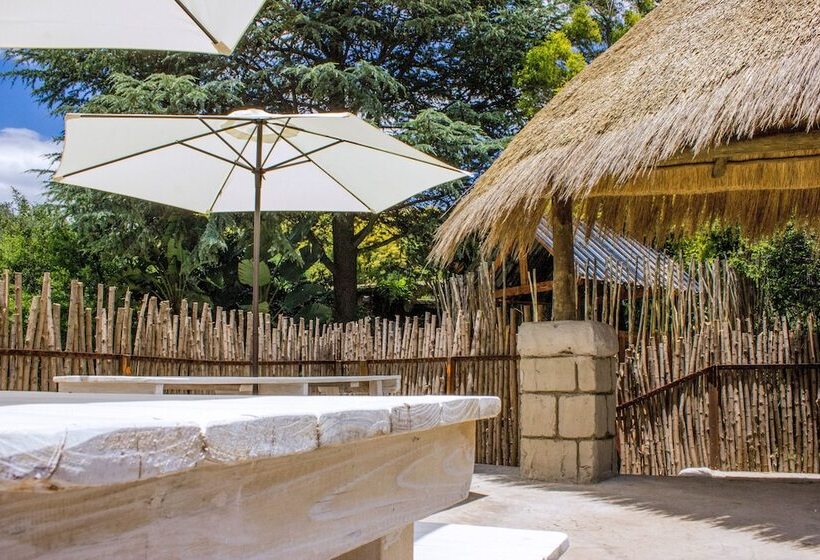 Отель Rainforest Boutique Camp