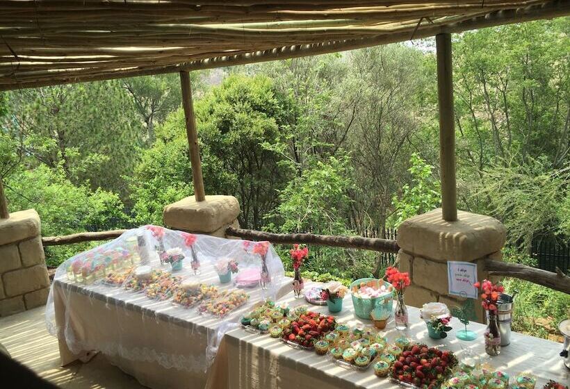 Отель Rainforest Boutique Camp