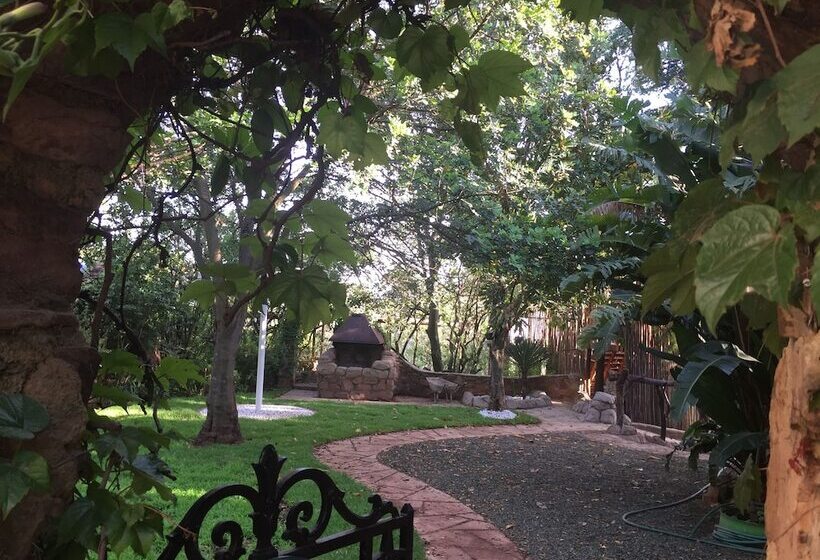 Отель Rainforest Boutique Camp