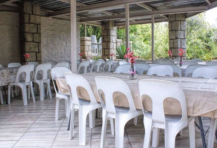 Отель Rainforest Boutique Camp