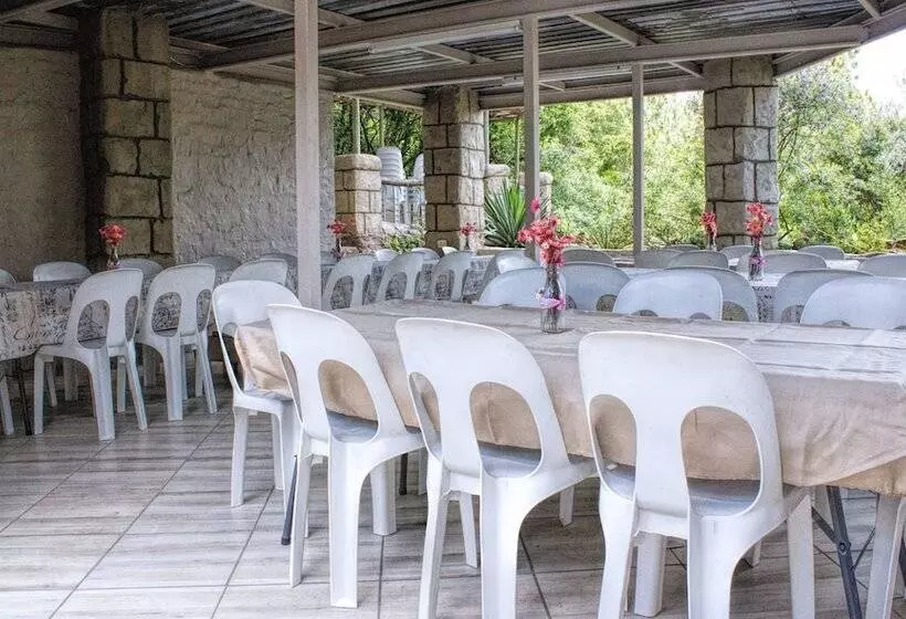 Hotelli Rainforest Boutique Camp