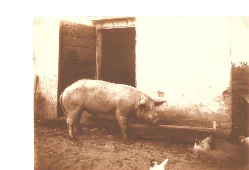 فندق Tenuta La Fratta