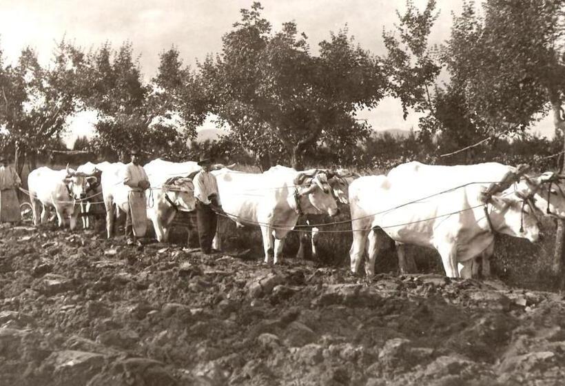 فندق Tenuta La Fratta