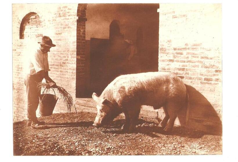 فندق Tenuta La Fratta