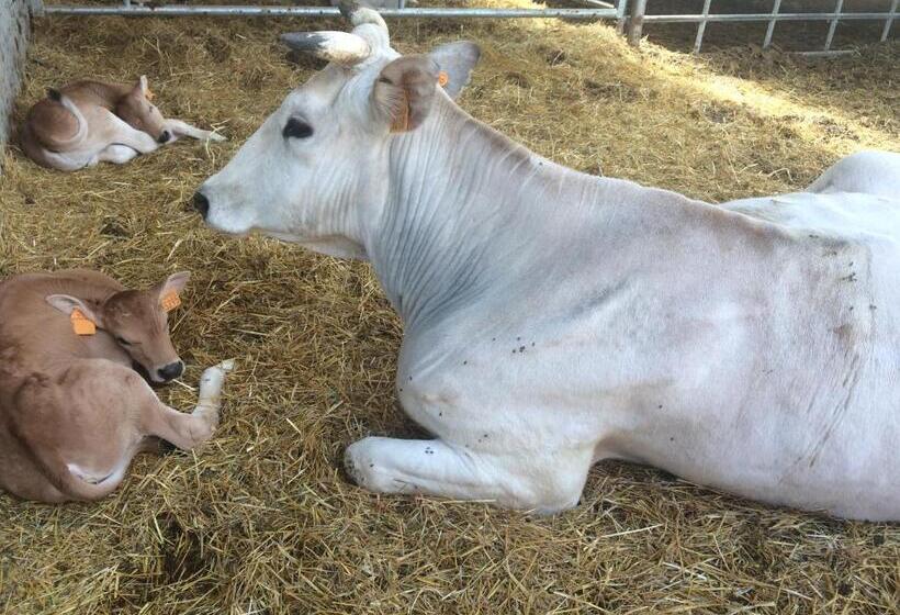 فندق Tenuta La Fratta