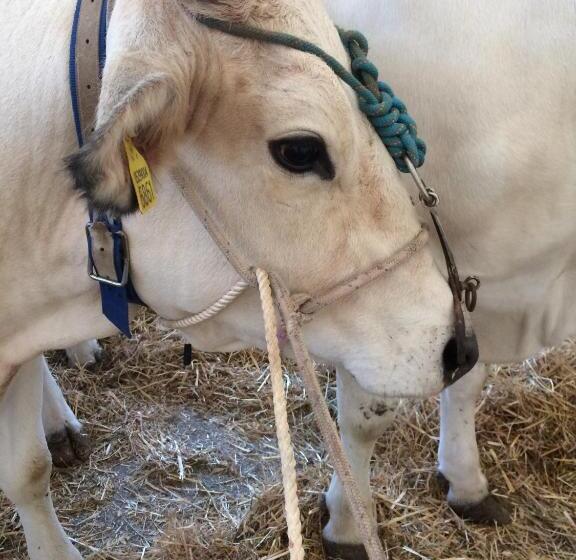 فندق Tenuta La Fratta