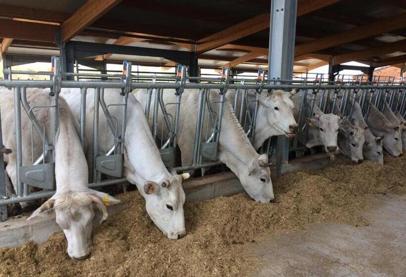 فندق Tenuta La Fratta