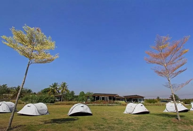 هتل White Knot Khao Yai