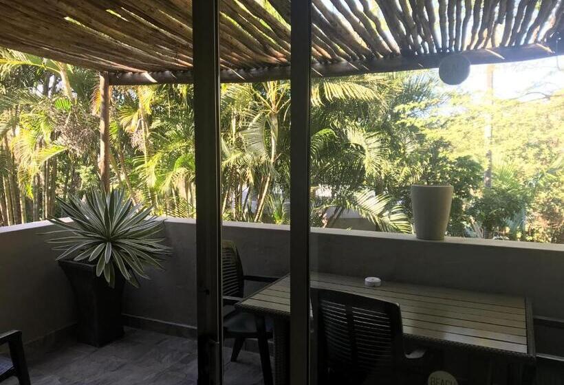 פנסיון Beach Forest Lodge