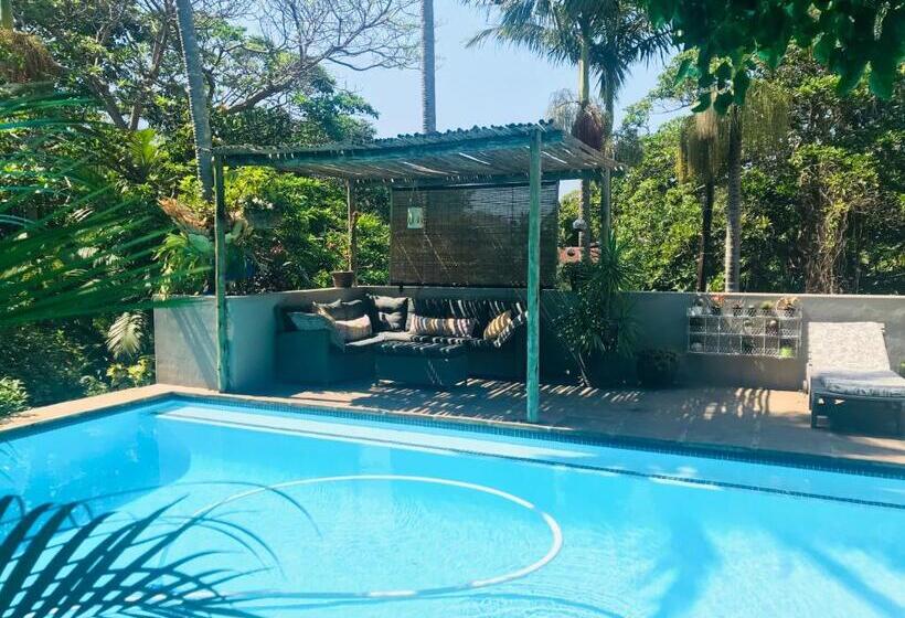 פנסיון Beach Forest Lodge