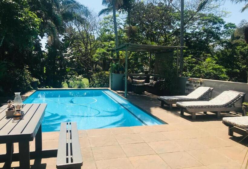 פנסיון Beach Forest Lodge