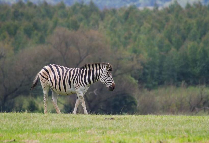 بنسيون St Ives Lodge